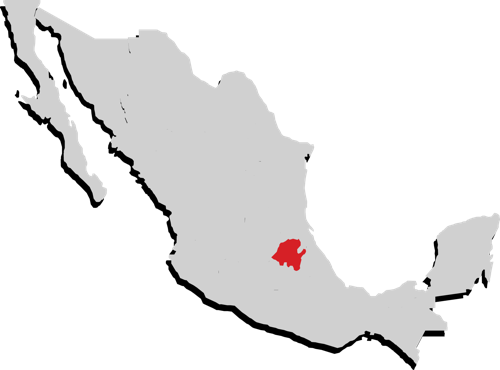 Hidalgo