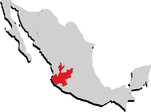 Jalisco