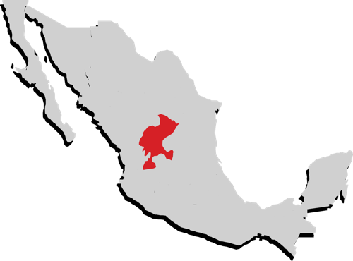 Zacatecas